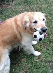 Chien-Chance.JPG Chien-Chance.JPG